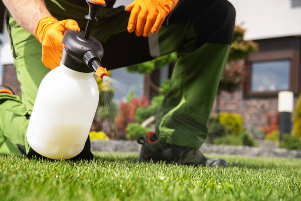 Best Affordable Pest Control Services  in Carlin, NV