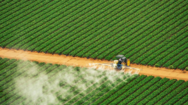 Best Termite Control Services  in Carlin, NV